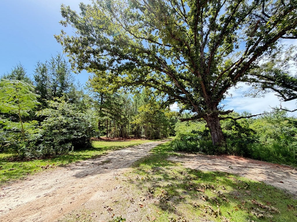 277 Otho Seals Road Lumberton, MS 39455 - Photo 5 of 23 Gallery Image 5