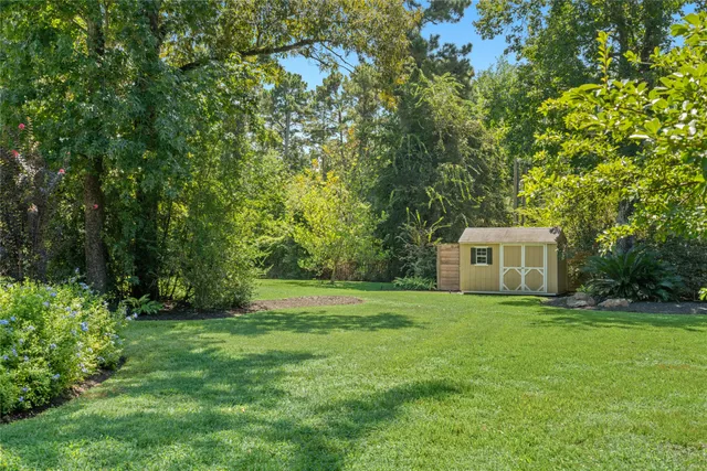 a view of a backyard with large trees