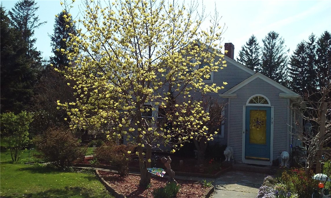 73 Stafford Road Tiverton, RI 02878 - Photo 2 of 13 Summer Bloom