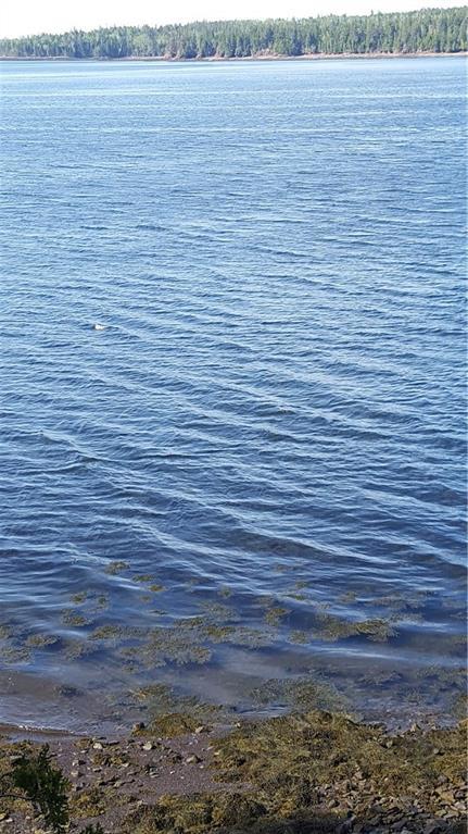 163 Leach Point Road Perry, ME 04667 - Photo 29 of 31 Photo