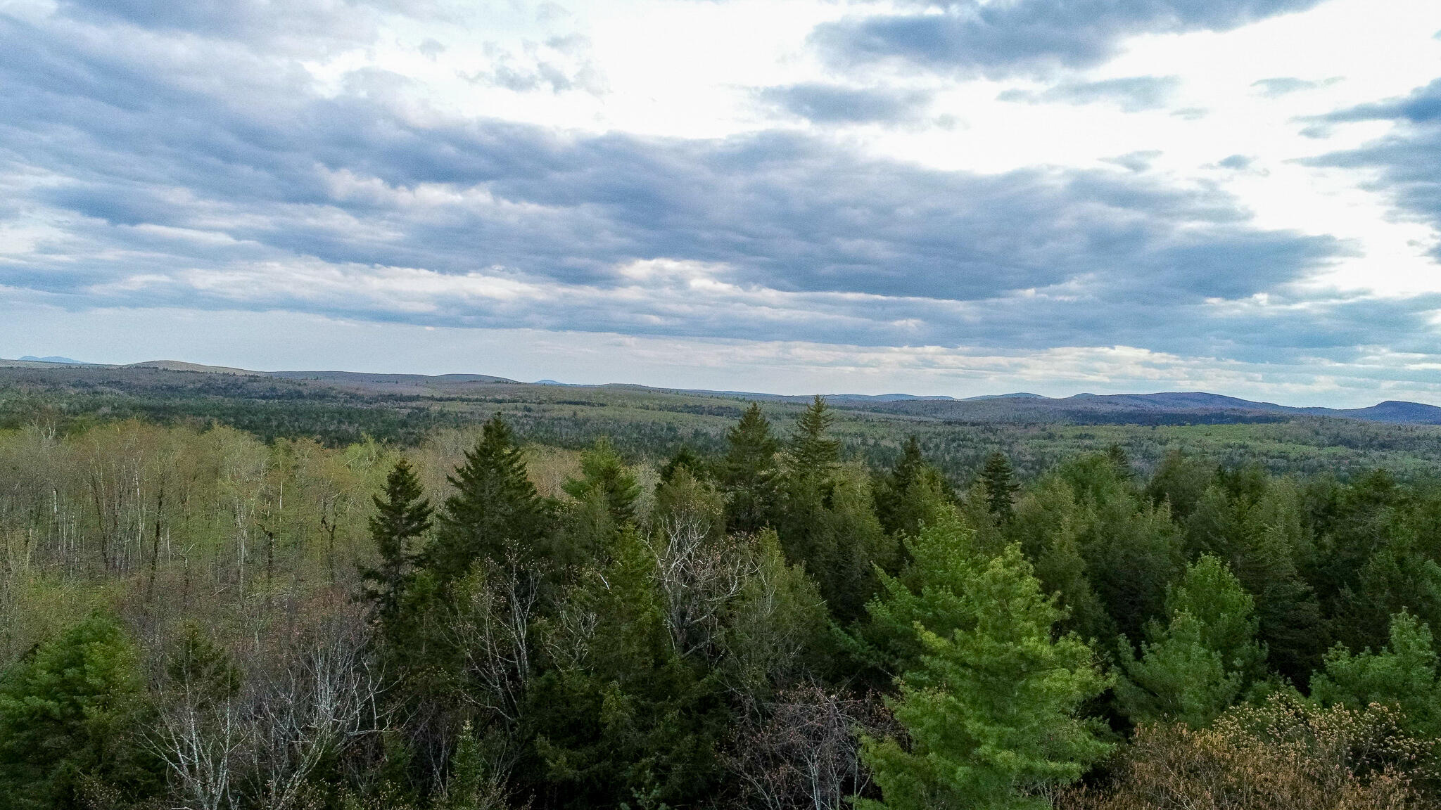1509 Otis Road Ellsworth, ME 04605 - Photo 6 of 26 DJI_0022-2