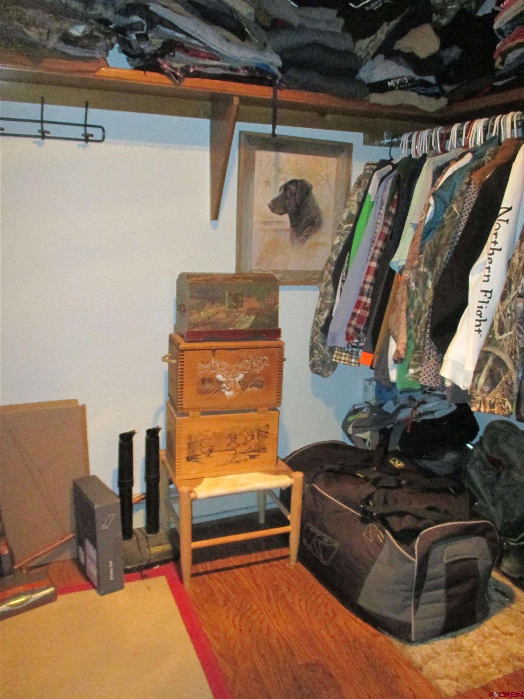 2364 Elk Road Lake City, CO 81235 - Photo 24 of 44 Guest bedroom #2 walk-in closet.