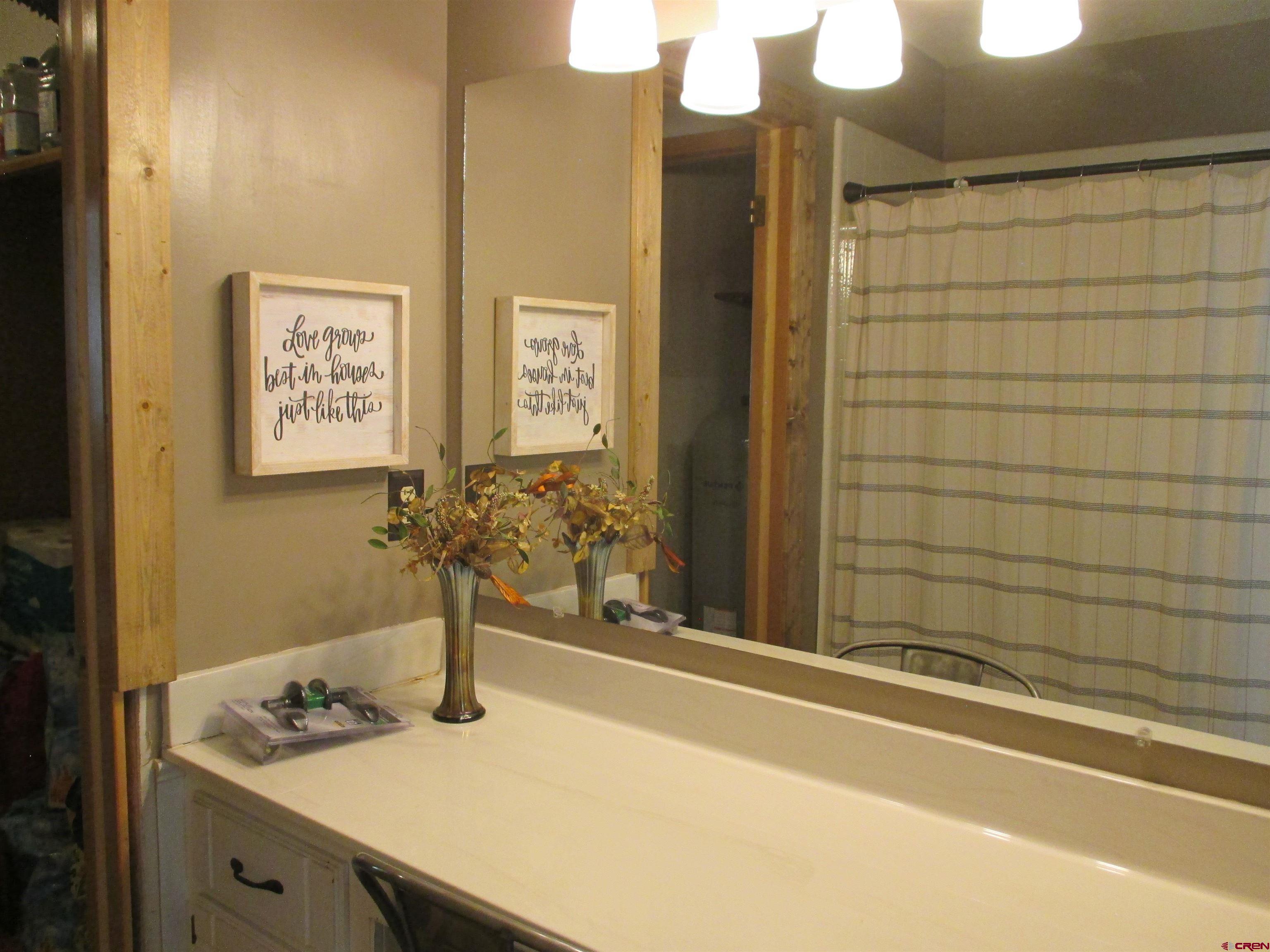 2364 Elk Road Lake City, CO 81235 - Photo 32 of 44 Primary bedroom suite bath vanity and shower.