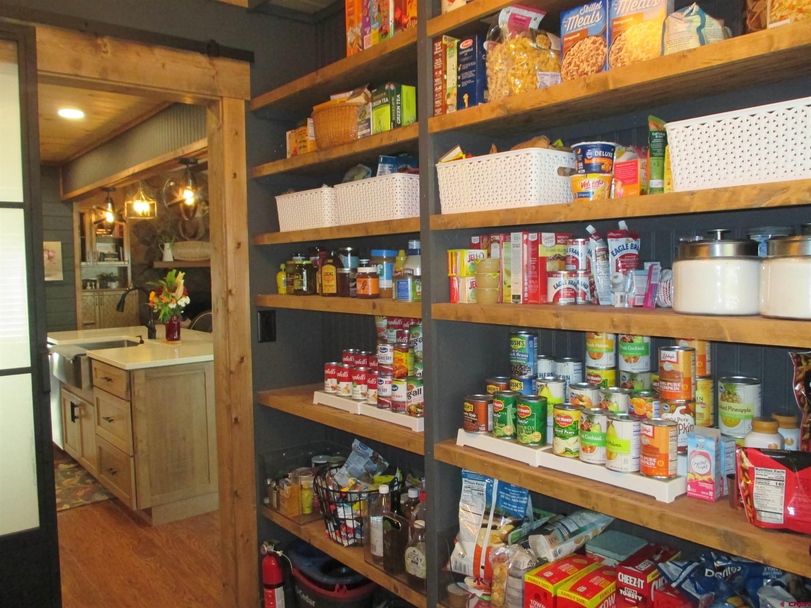 2364 Elk Road Lake City, CO 81235 - Photo 5 of 44