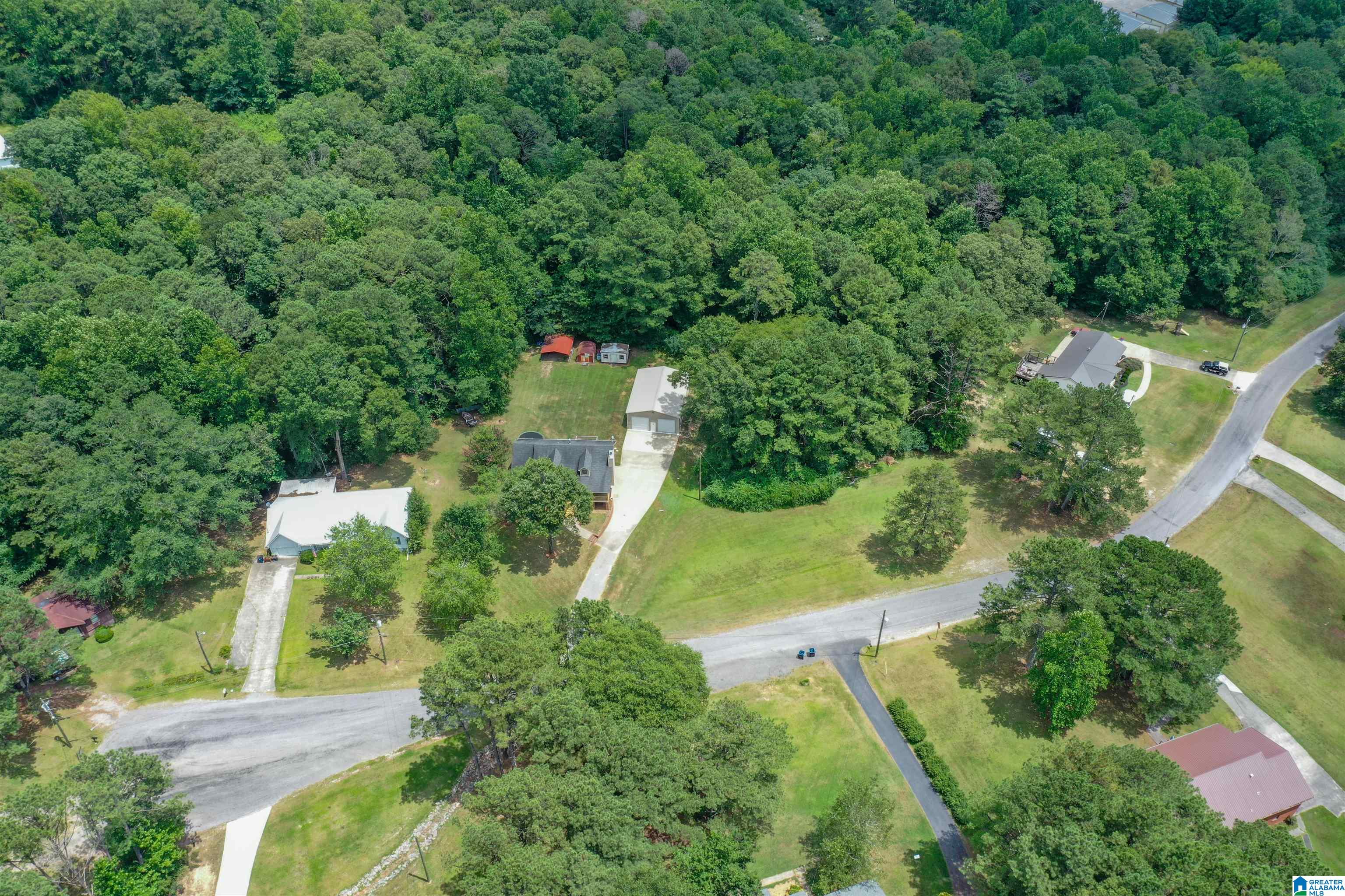 150 Hayden Springs Road Hayden, AL 35079 - Photo 52 of 62