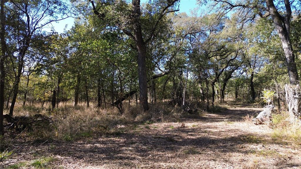 0 Bee Creek Road Maypearl, TX 76064 - Photo 29 of 39 a view of outdoor space with trees