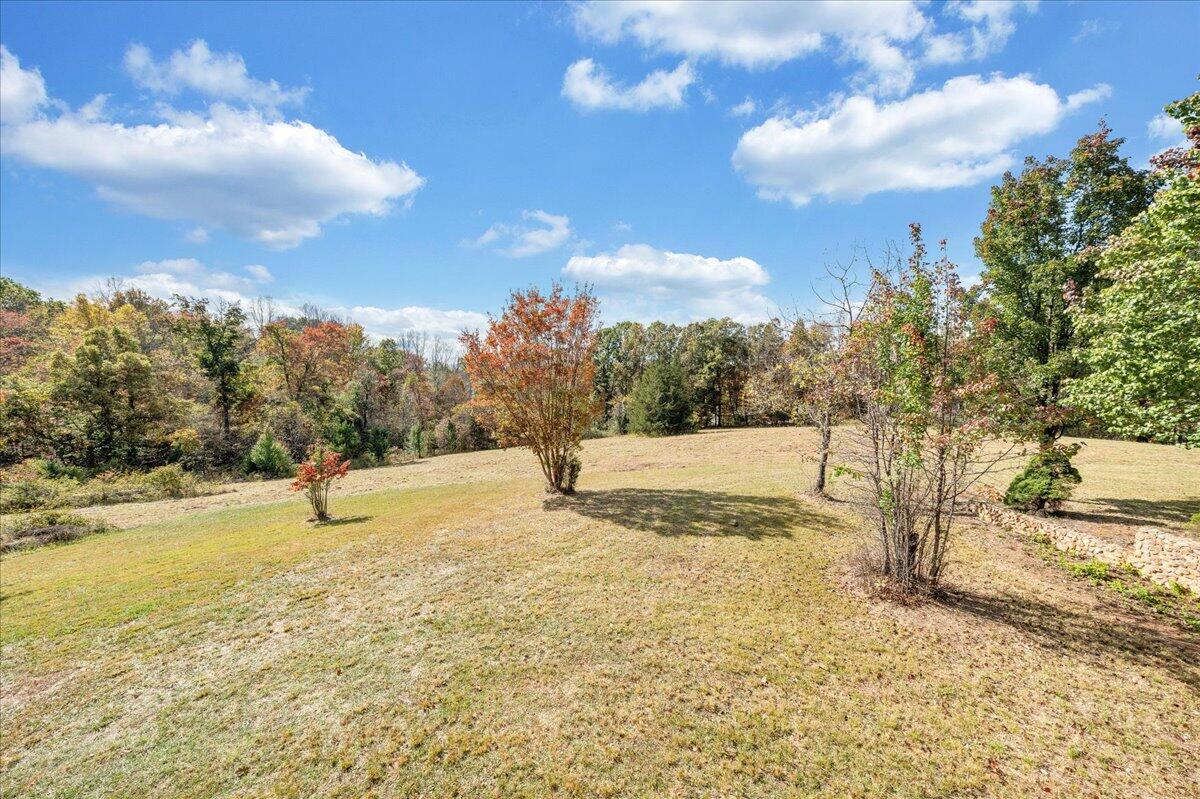 1296 3 Oaks Road Wirtz, VA 24184 - Photo 43 of 59 a view of yard covered with snow