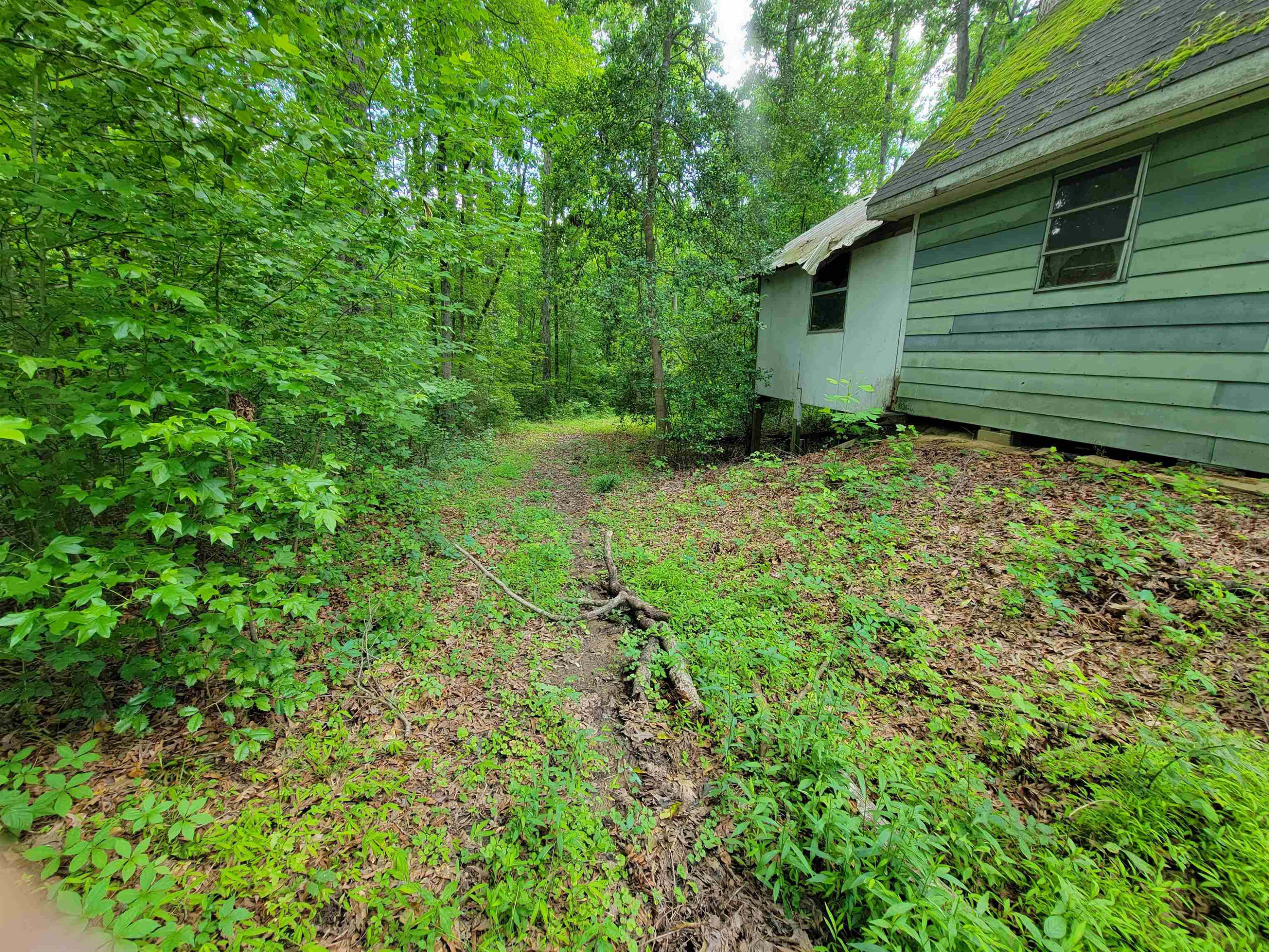 6400 Robertson Pond Road Wendell, NC 27591 - Photo 25 of 33 Photo 25