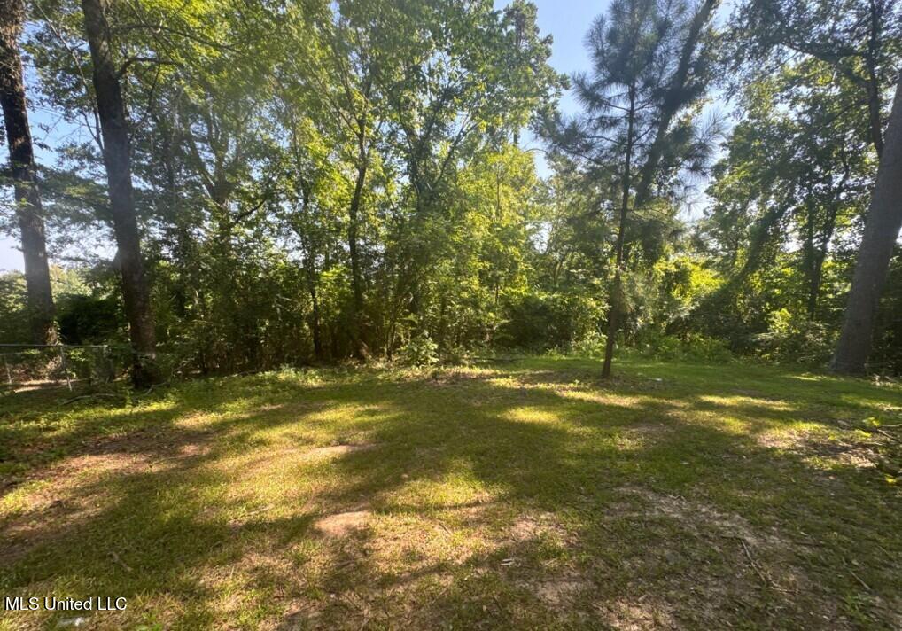 291 Barn Street Richland, MS 39218 - Photo 7 of 7 Picture3