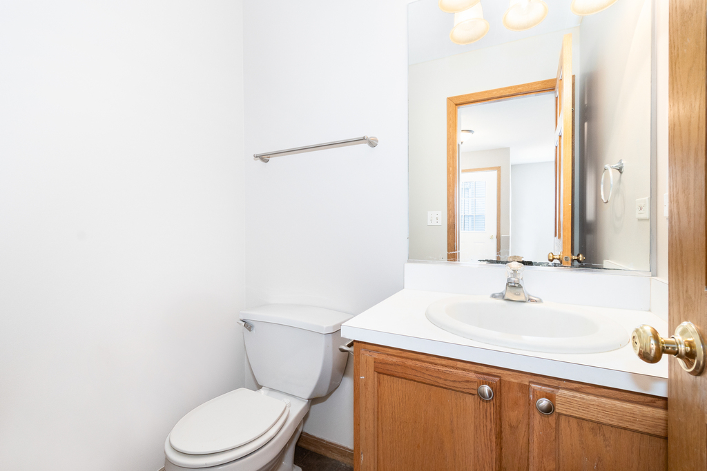 191 Mountain Laurel Court Romeoville, IL 60446 - Photo 11 of 25 a bathroom with a sink a toilet and mirror