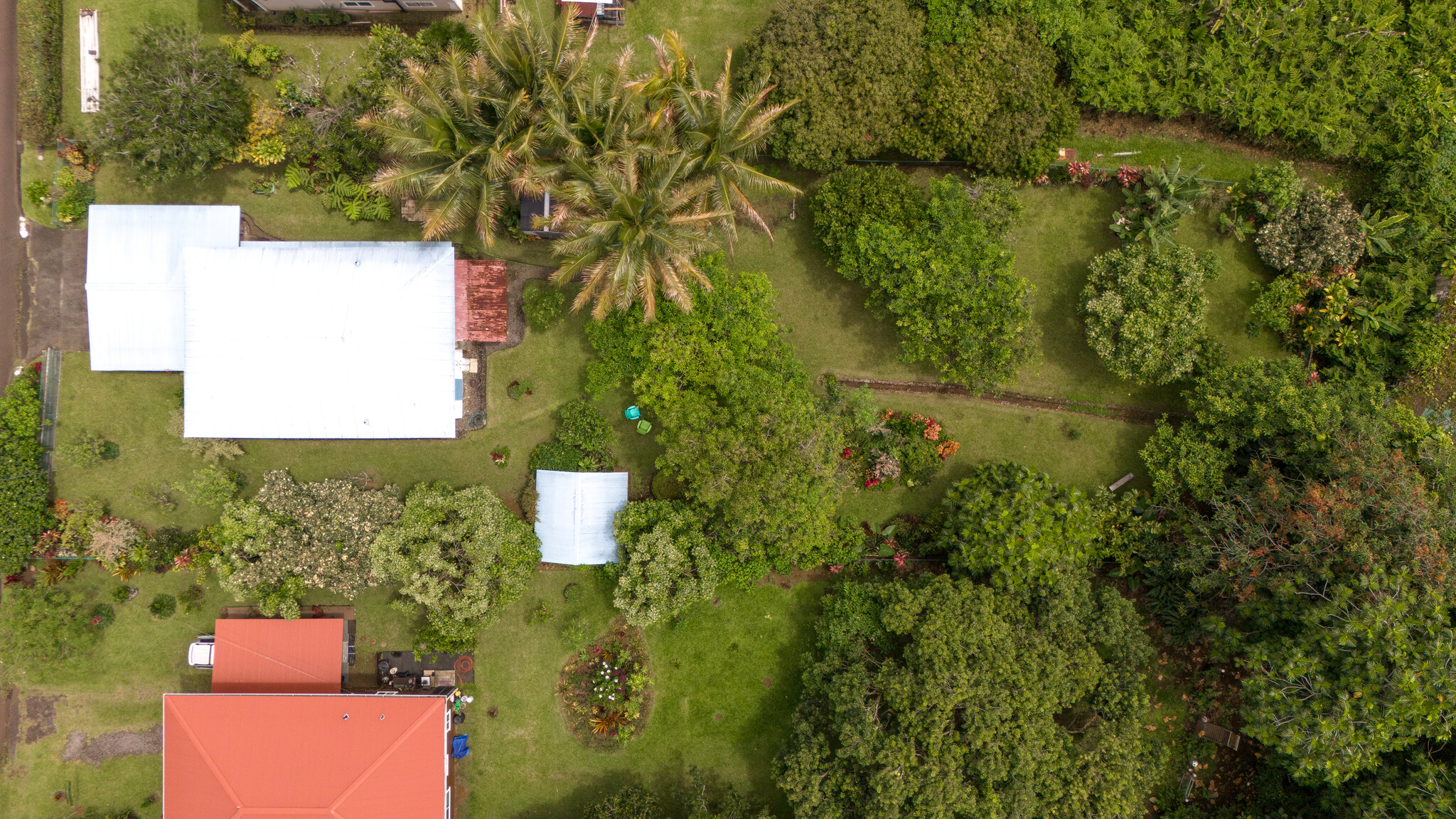 28-231 Stable Camp Road Honomu, HI 96728 - Photo 19 of 24