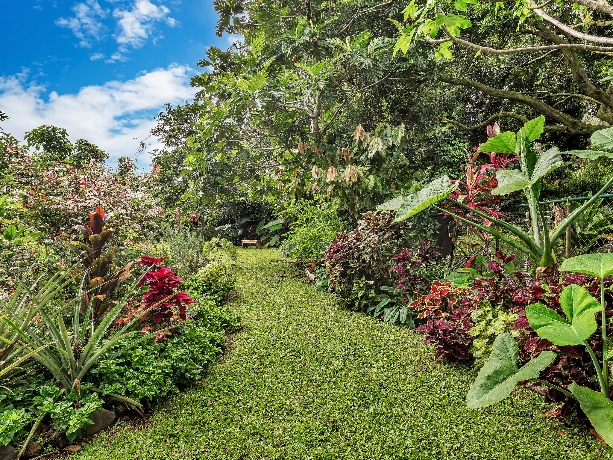 28-231 Stable Camp Road Honomu, HI 96728 - Photo 21 of 24