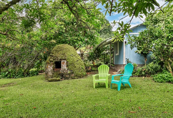 a view of a park with large trees