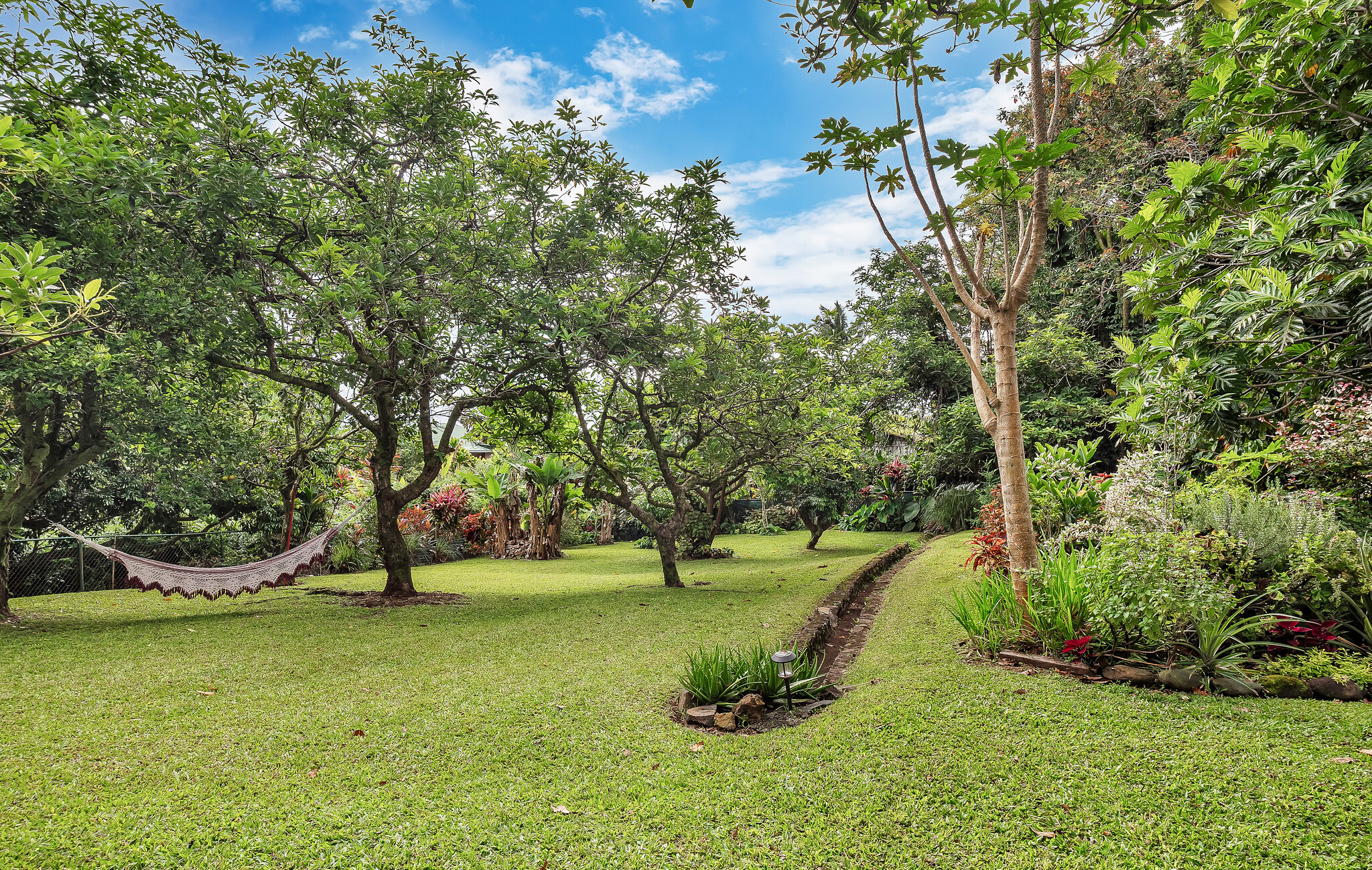 28-231 Stable Camp Road Honomu, HI 96728 - Photo 23 of 24