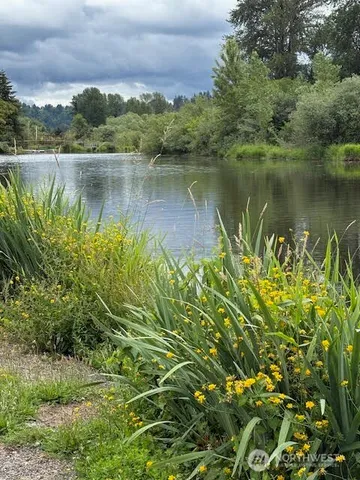 a view of a lake with a house in the background