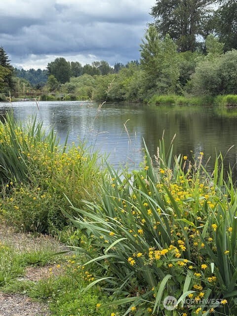 7301 Northeast 175th Street, Unit 137 Kenmore, WA 98028 - Photo 18 of 24 a view of a lake with a house in the background