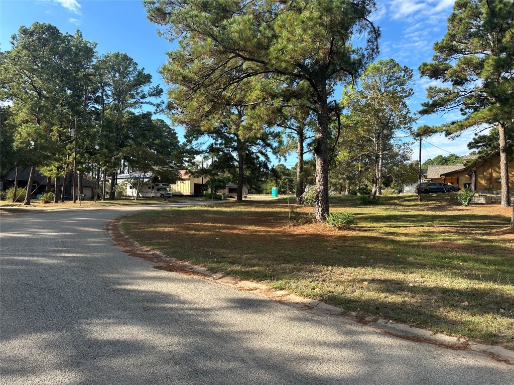 258 Pine View Loop Bastrop, TX 78602 - Photo 2 of 14