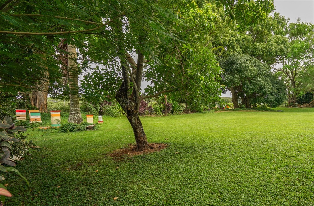 5471 Emi Road Koloa, HI 96756 - Photo 30 of 30 Gallery Image 30