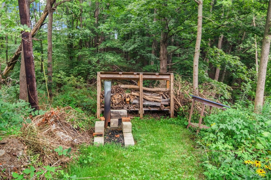 41 Shaffer Road Newfield, NY 14867 - Photo 33 of 49