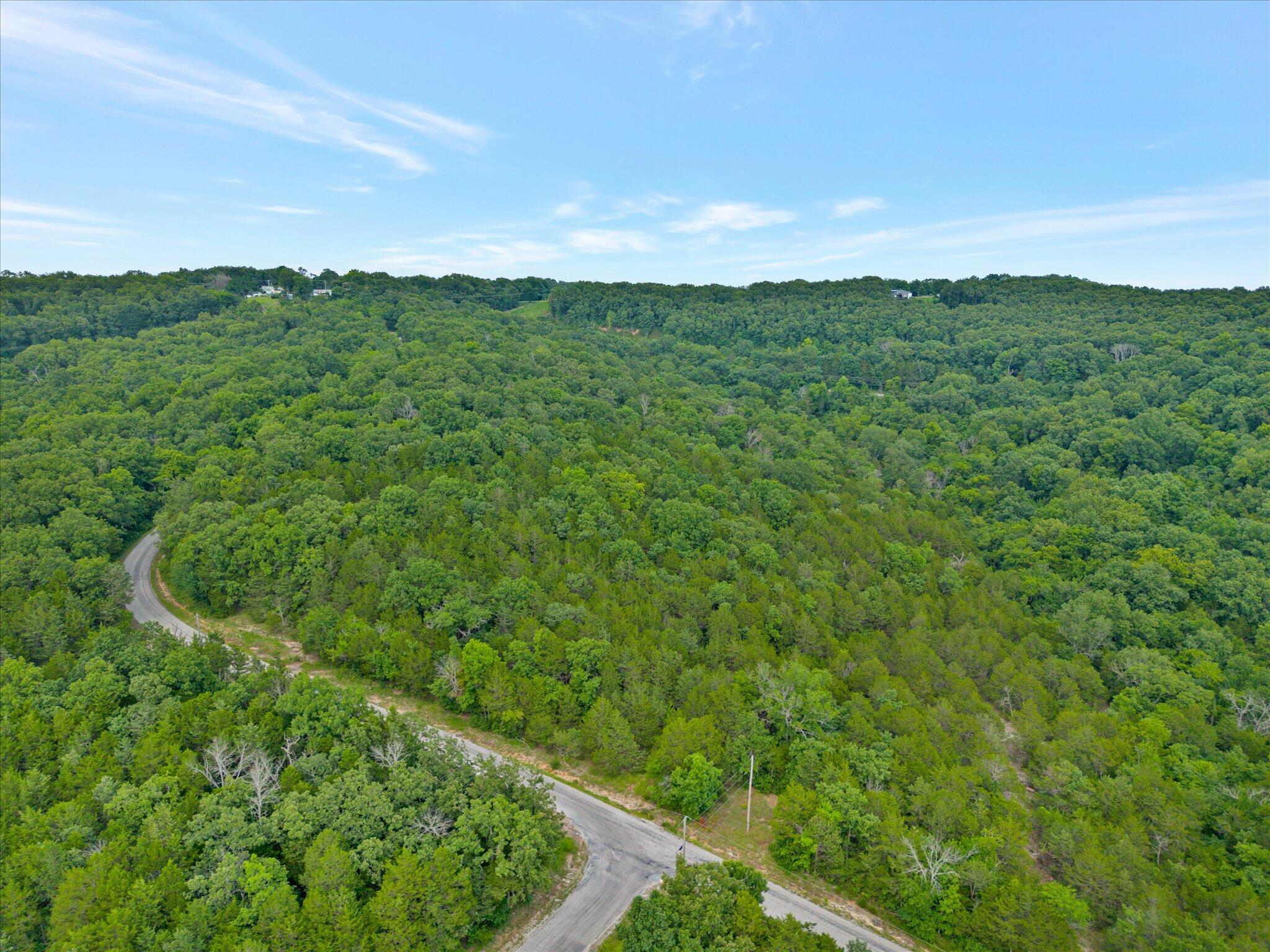 0 Pioneer Point Road Galena, MO 65656 - Photo 3 of 15 Aerial View