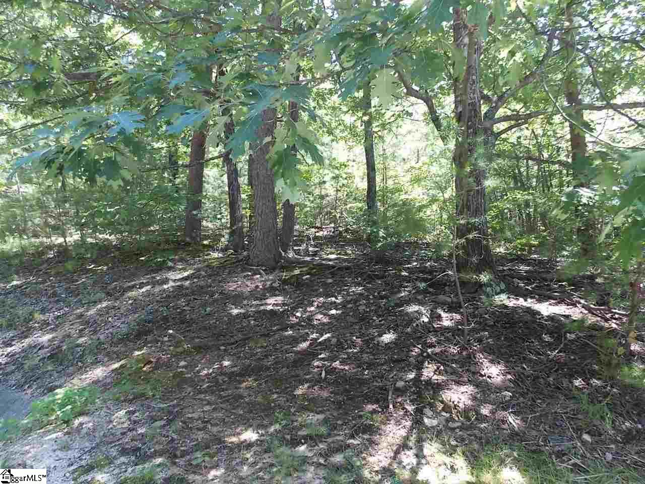 221 Southview Ledge Road Landrum, SC 29356 - Photo 1 of 17 Into building site