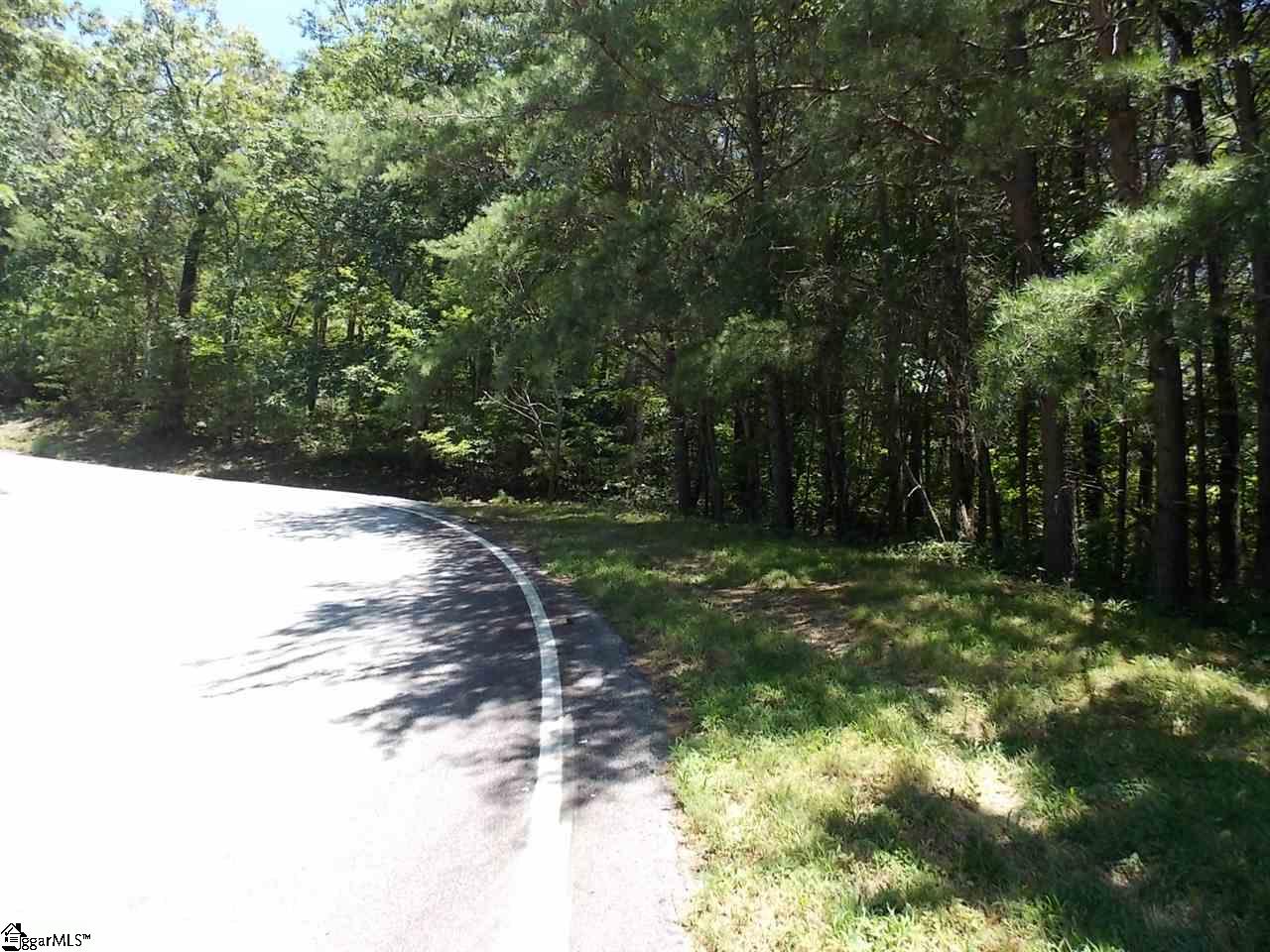 221 Southview Ledge Road Landrum, SC 29356 - Photo 2 of 17