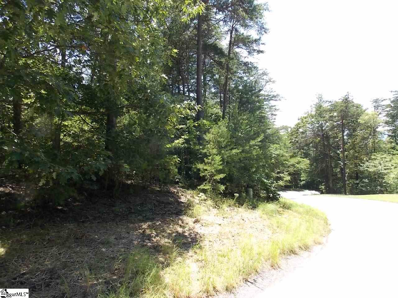 221 Southview Ledge Road Landrum, SC 29356 - Photo 4 of 17