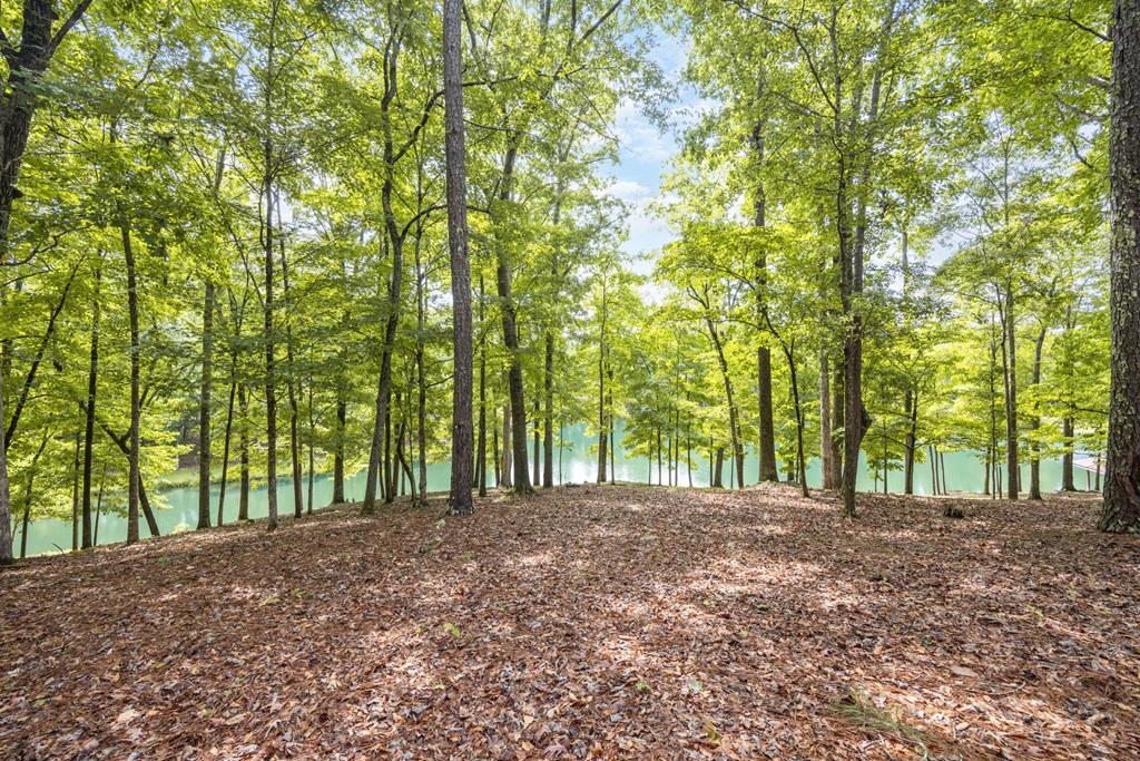 11045 Warm Springs Road Midland, GA 31820 - Photo 45 of 46