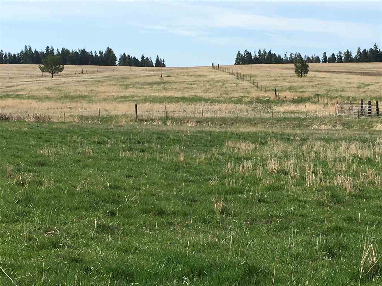 11022 North Forker Road Spokane, WA 99217 - Photo 3 of 6