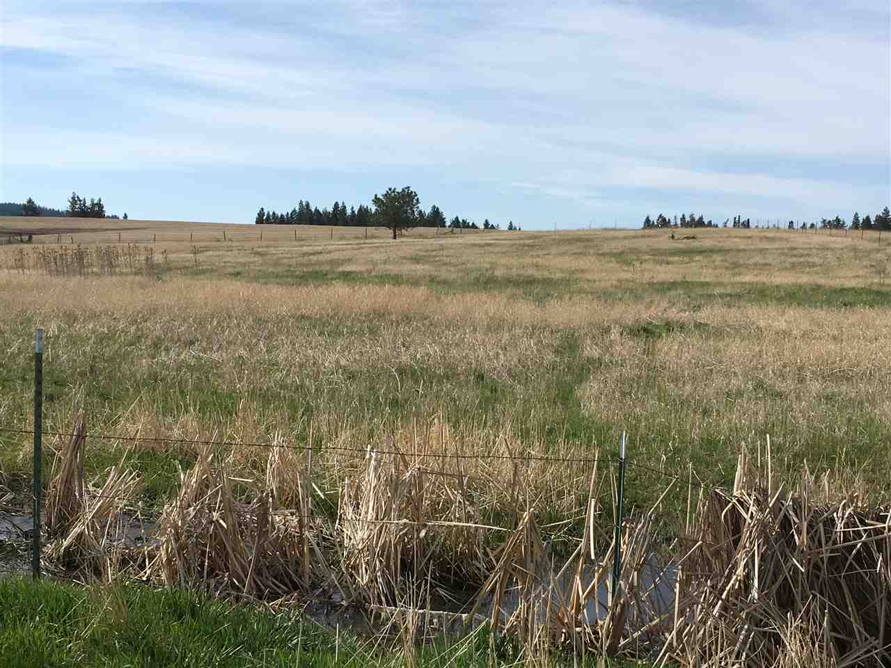 11022 North Forker Road Spokane, WA 99217 - Photo 4 of 6