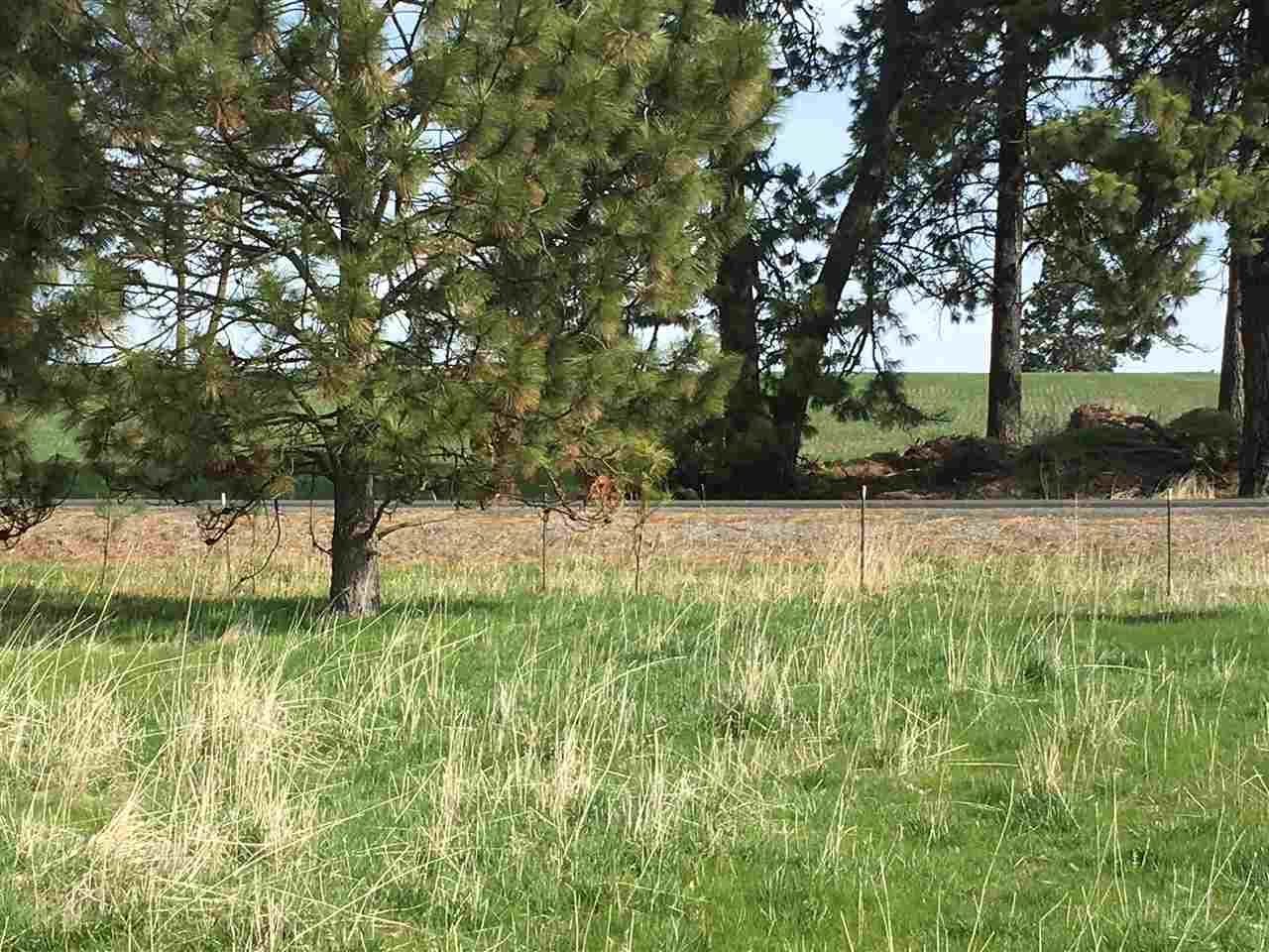 11022 North Forker Road Spokane, WA 99217 - Photo 5 of 6