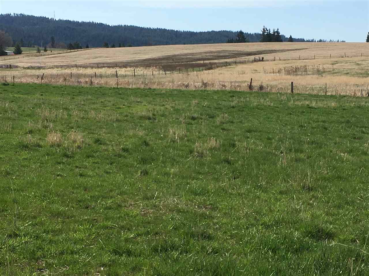 11022 North Forker Road Spokane, WA 99217 - Photo 6 of 6