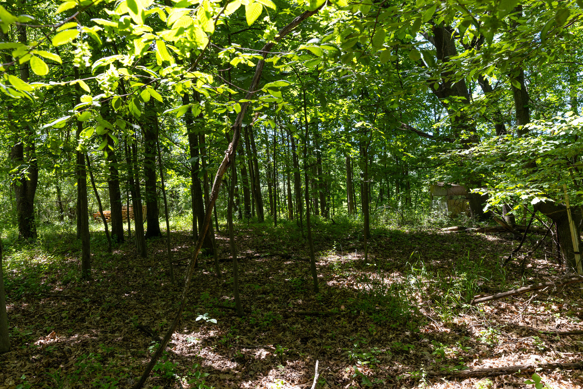 28 28 Mile Road Albion, MI 49224 - Photo 15 of 41 28 Mile -23
