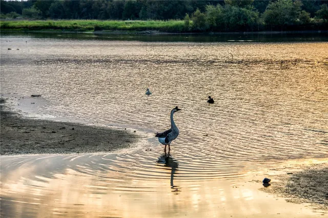 $1,895,000 | 3096 Happy Swaner Lane, Axtell, TX 76624