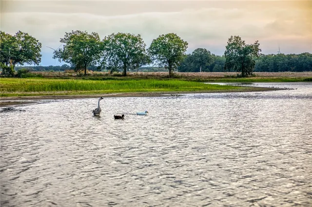 $1,895,000 | 3096 Happy Swaner Lane, Axtell, TX 76624