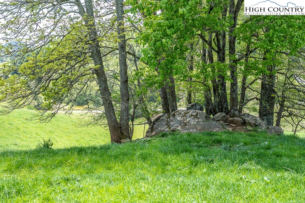 Brookshire Road Boone, NC 28607 - Photo 7 of 41 Gallery Image 7