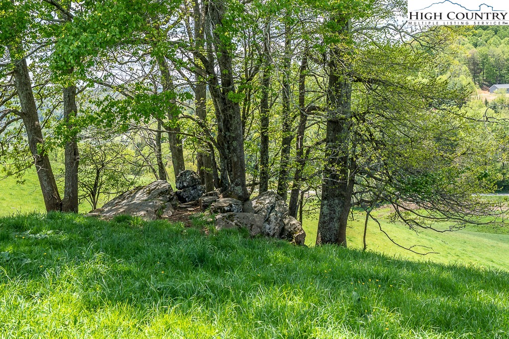 Brookshire Road Boone, NC 28607 - Photo 8 of 41 Gallery Image 8