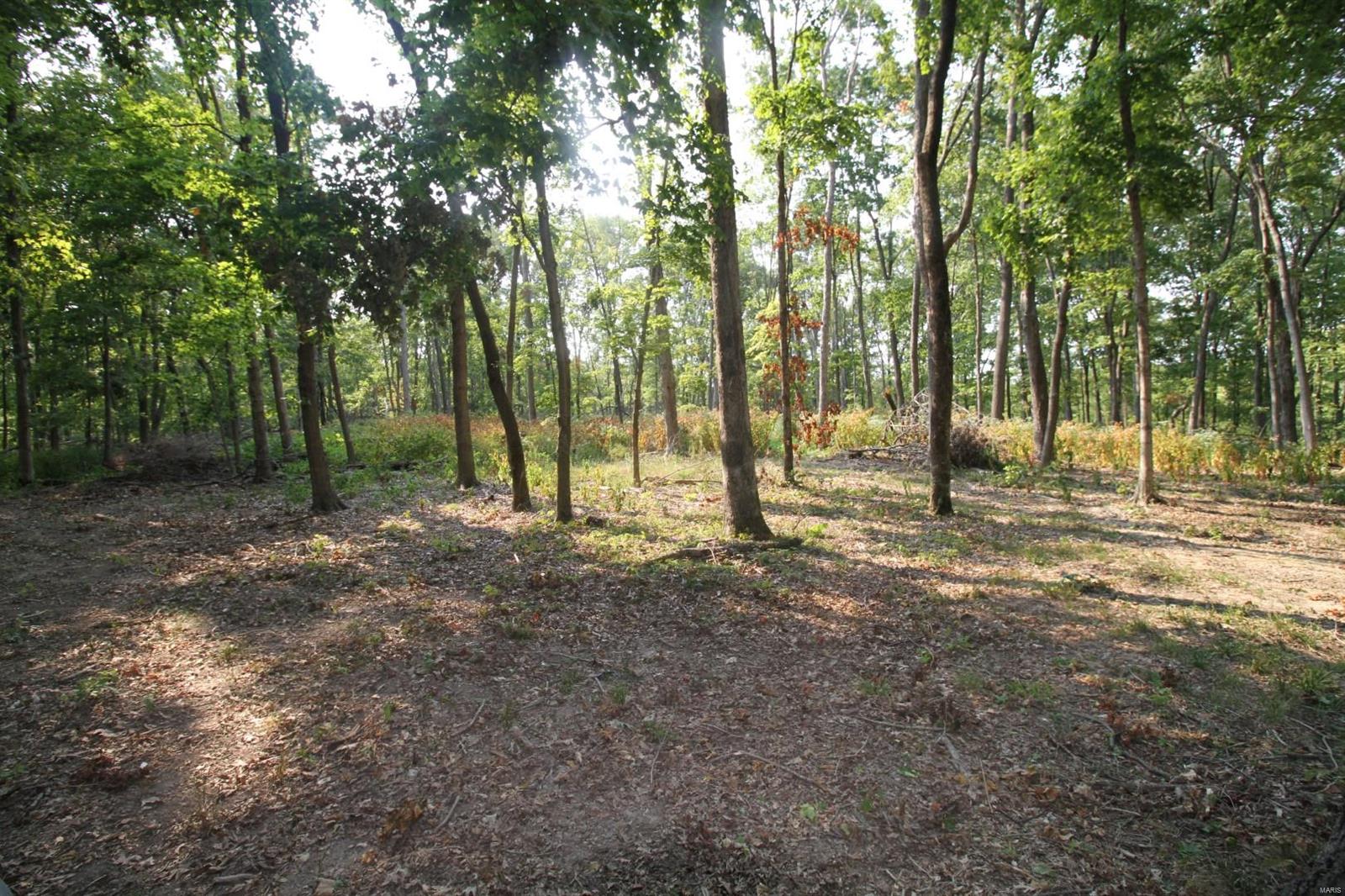 5121 Winegarners Road Salem, IL 62881 - Photo 60 of 66 Gallery Image 60