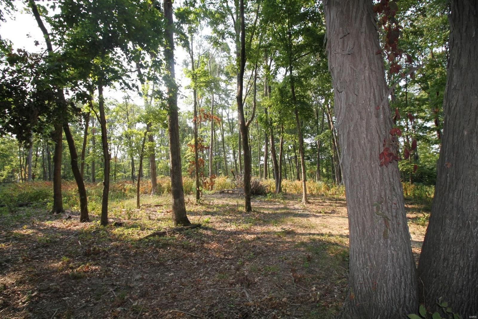 5121 Winegarners Road Salem, IL 62881 - Photo 61 of 66 Gallery Image 61