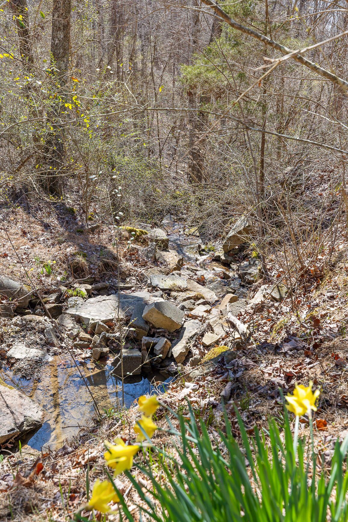 610 Orme Mountain Road South Pittsburg, TN 37380 - Photo 13 of 54 Orme-32