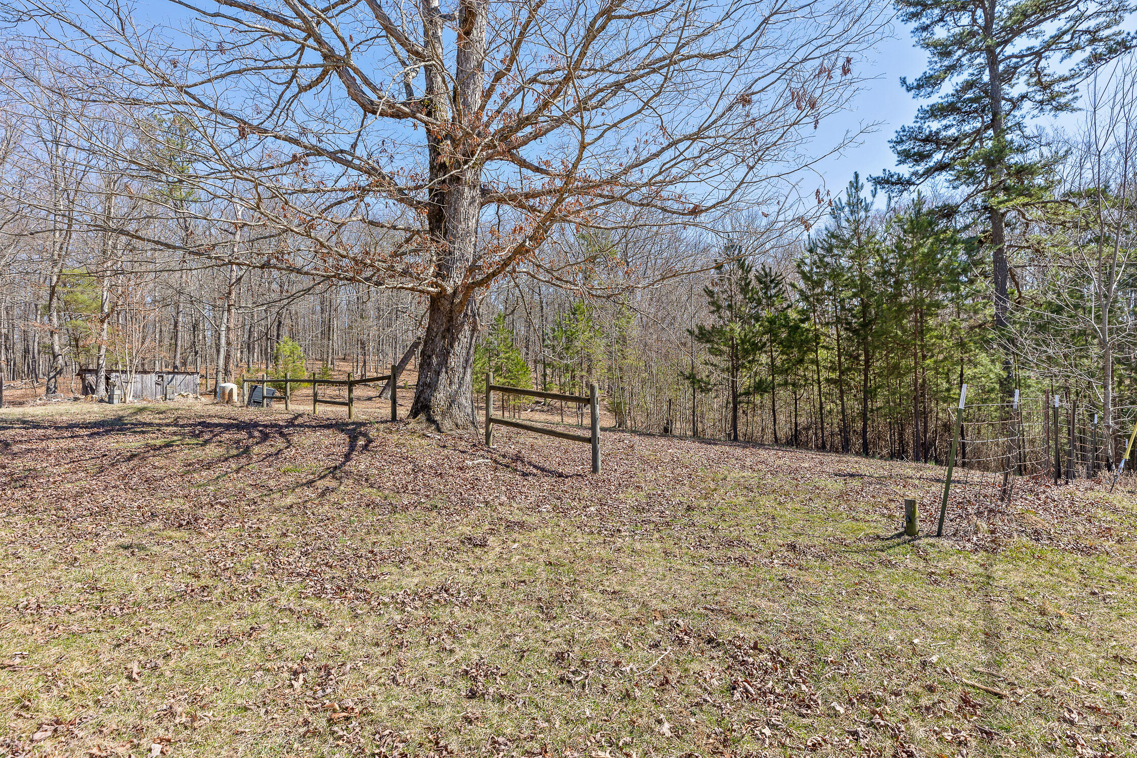 610 Orme Mountain Road South Pittsburg, TN 37380 - Photo 38 of 54 Orme-1