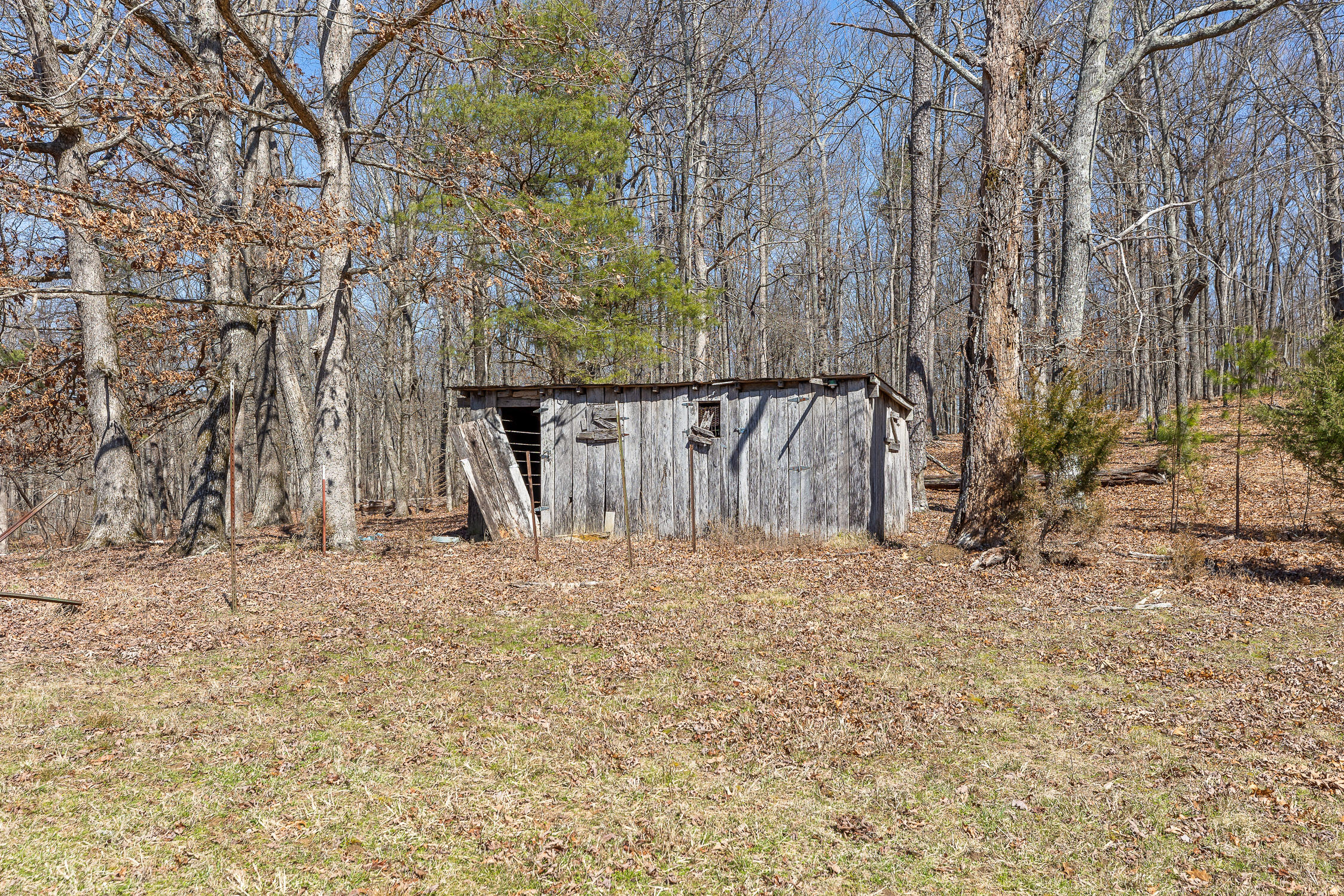 610 Orme Mountain Road South Pittsburg, TN 37380 - Photo 39 of 54 Orme-2