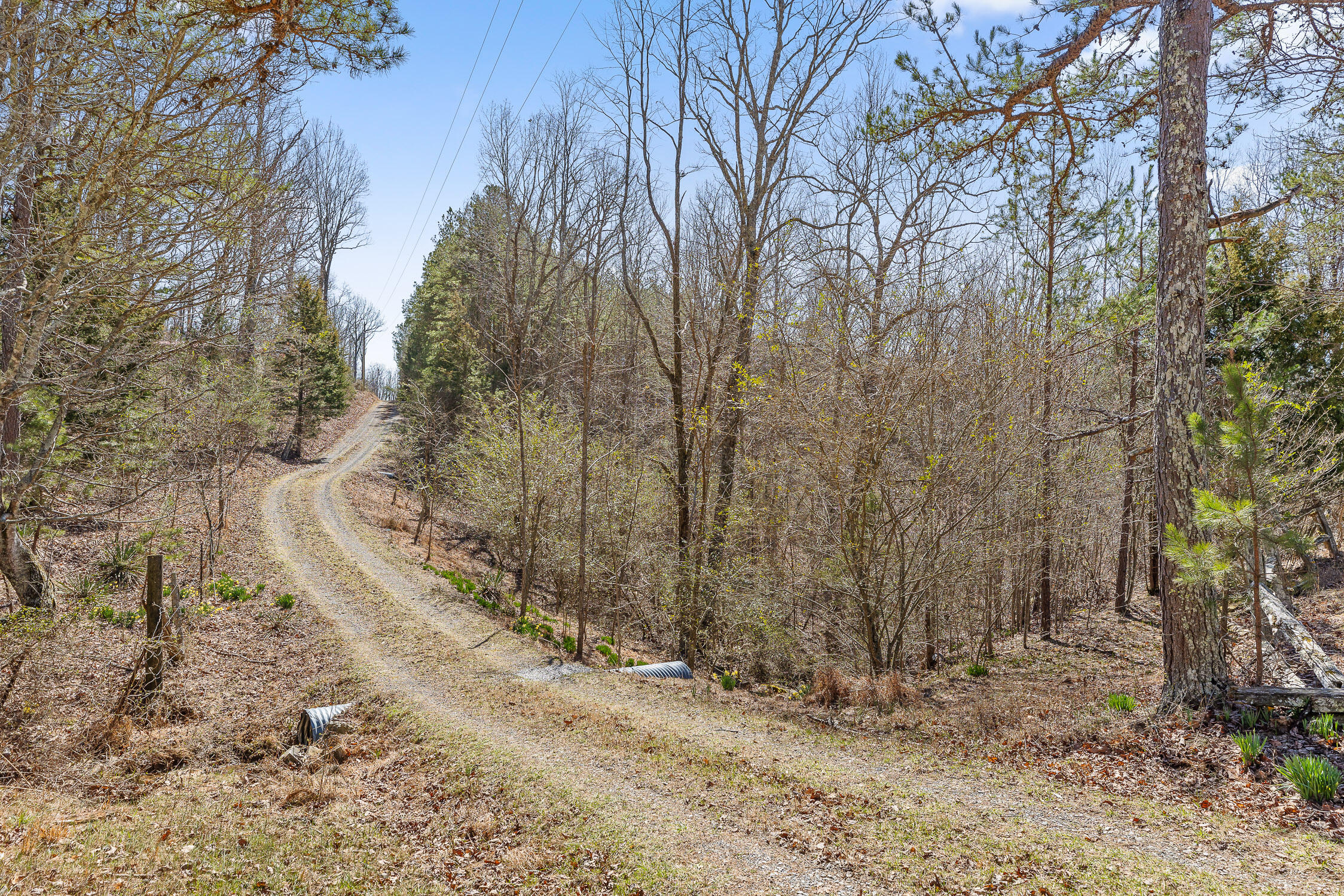 610 Orme Mountain Road South Pittsburg, TN 37380 - Photo 40 of 54 Orme-31