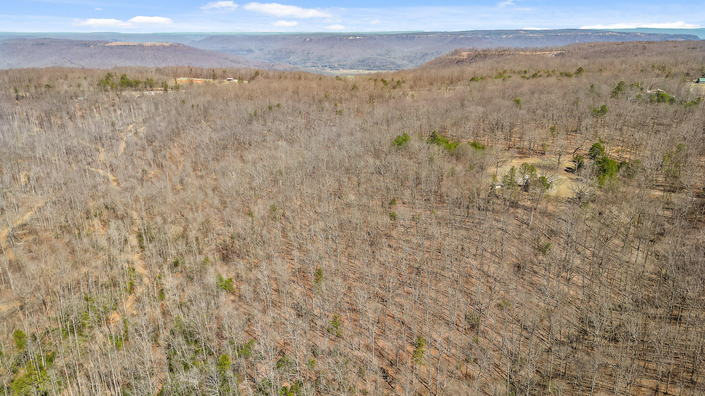 610 Orme Mountain Road South Pittsburg, TN 37380 - Photo 52 of 54 Orme-44