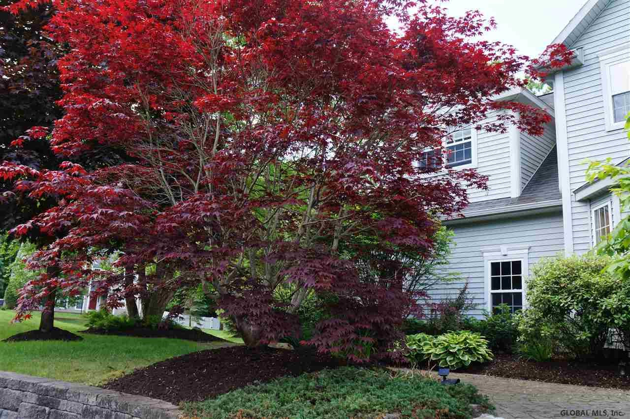 11 Sheffield Road Wilton, NY 12831 - Photo 54 of 54 Photo 54