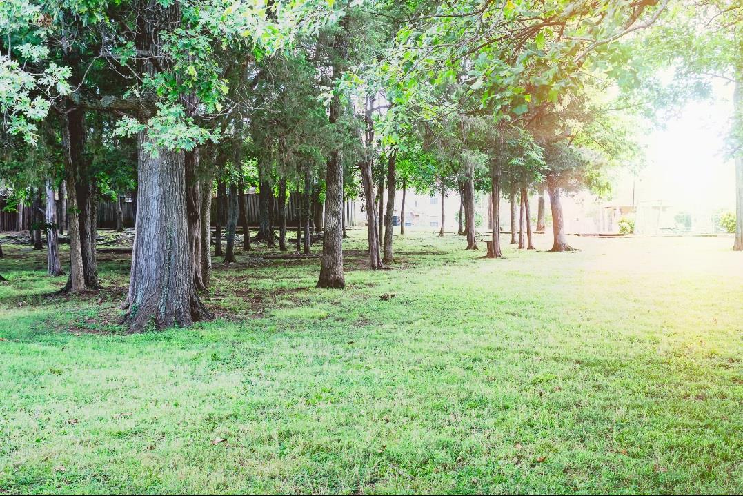 4000 Anderson Road, Unit 43 Nashville, TN 37217 - Photo 21 of 21 a backyard of a house with lots of green space and fountain