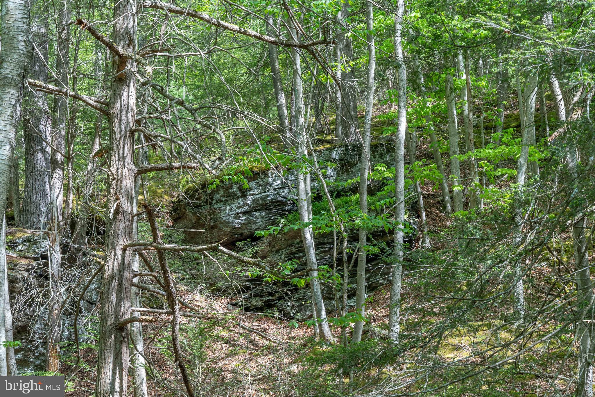 0 Cummins Hill Road Matamoras, PA 18336 - Photo 62 of 116