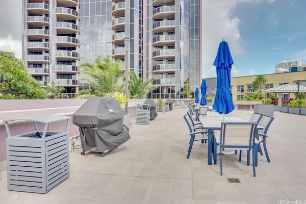a outdoor space with lots of chairs and a potted plant