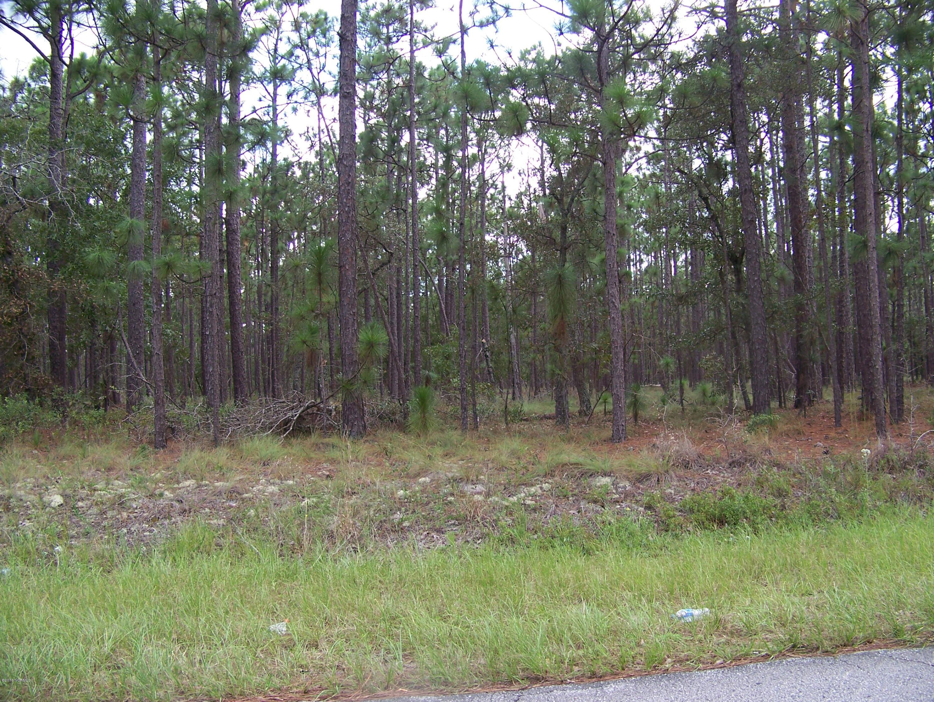 700 Barber Road Southport, NC 28461 - Photo 1 of 1 100_0889