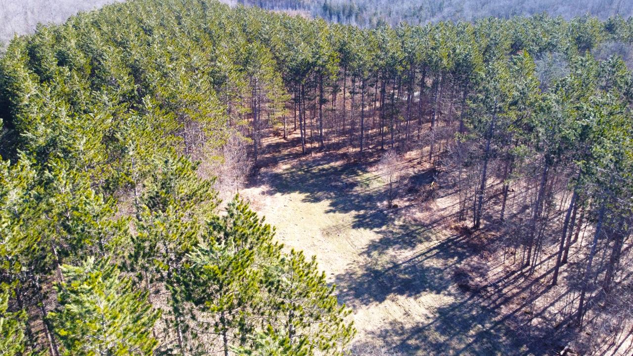 8 Old 8 Road Crandon, WI 54520 - Photo 2 of 39 Gallery Image 2